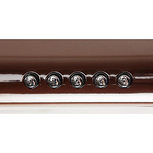 Витяжка Eleyus Line I 60 BR