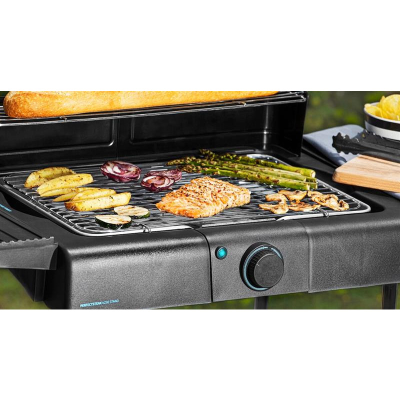 Гриль Cecotec PerfectSteak 4250 Stand CCTC-03049 (8435484030496)