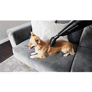 Пилосос Cecotec Conga Immortal ExtremeSuction 22.2 Animal Hand CCTC-05441 (8435484054416)