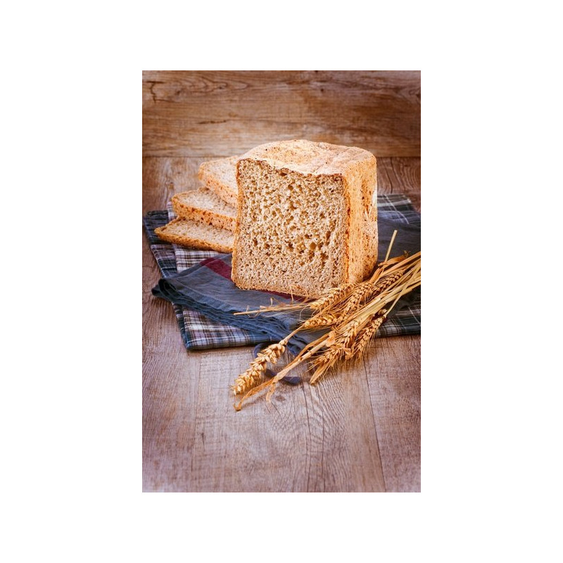 Хлібопіч Tefal Pain et Tresors PF250135