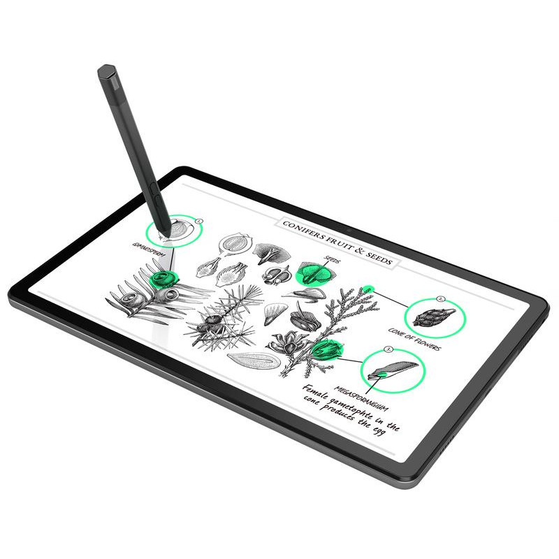 Планшет Lenovo Tab M10 Plus (3rd Gen) TB128FU 4/128GB Storm Grey (ZAAM0132UA)