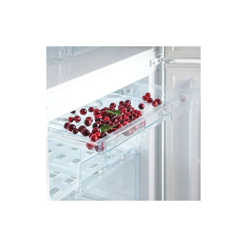 Холодильник Snaige RF56SM-S5RB2E