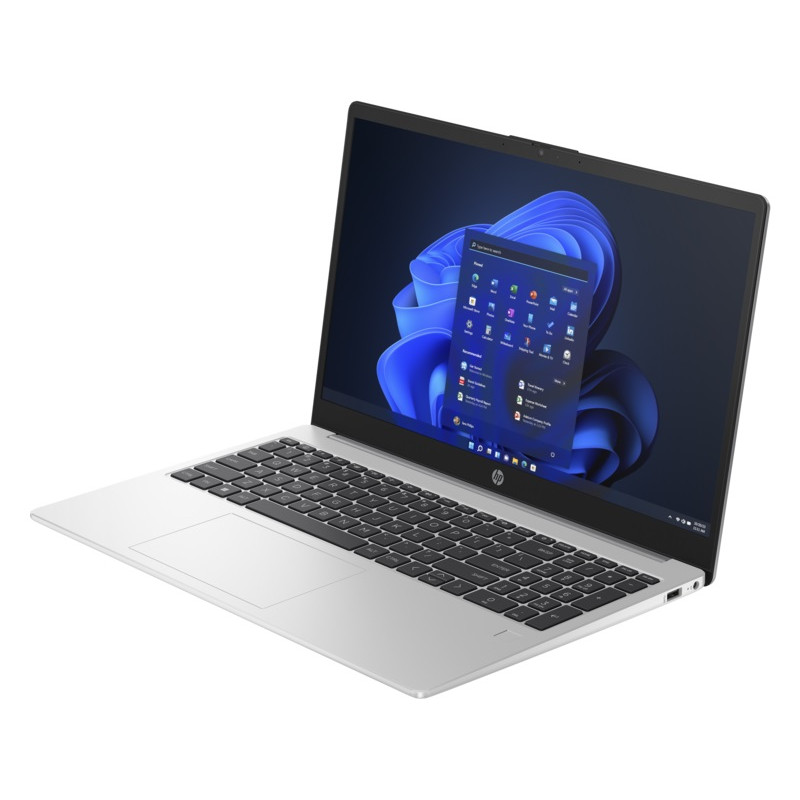 Ноутбук HP 250 G10 (85C53EA) Silver