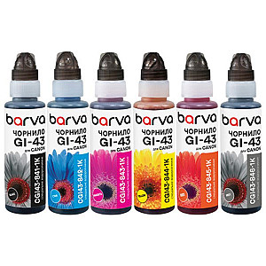Комплект чорнил Barva Canon GI-43, флакон OneKey (1K), BK/C/M/Y/R/GY (CGI43-1K-MP) 6х100 мл