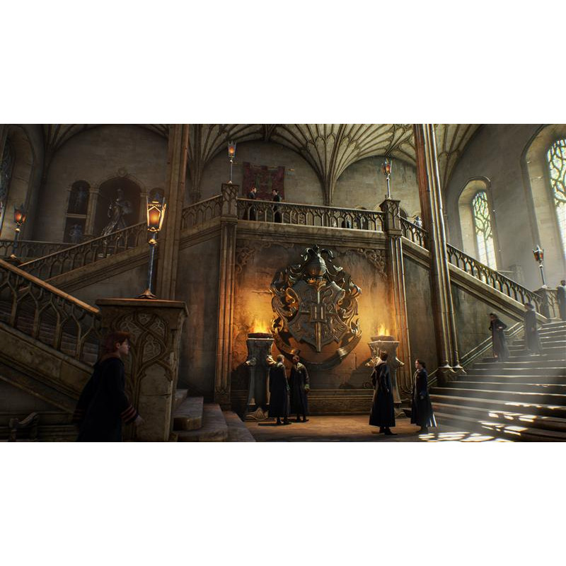 Гра Hogwarts Legacy для PlayStation 5, Russian Subtitles, Blu-Ray диск (5051895413425)