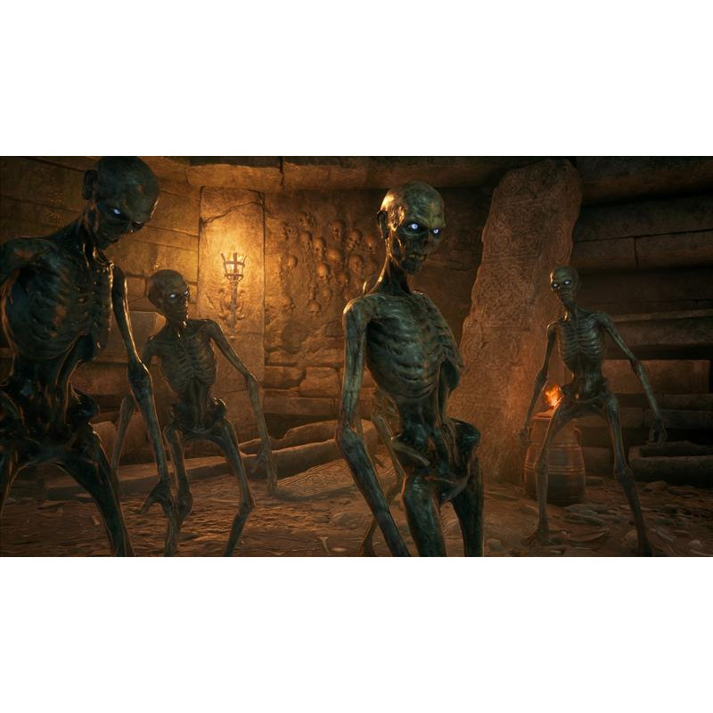 Гра Hogwarts Legacy для PlayStation 5, Russian Subtitles, Blu-Ray диск (5051895413425)