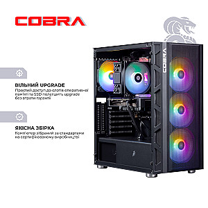 Персональний комп`ютер COBRA (I134F.32.S1.46.17953)