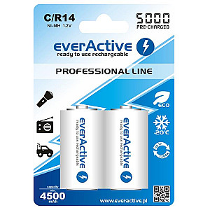 Акумулятор everActive С/HR14 5000mAh BL 2шт